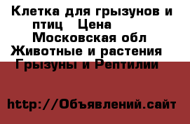 Клетка для грызунов и птиц › Цена ­ 400 - Московская обл. Животные и растения » Грызуны и Рептилии   